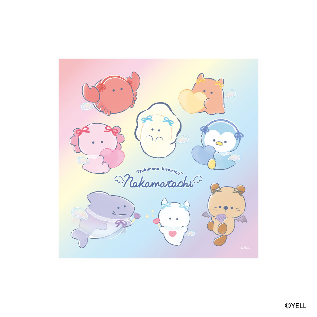 PA0014AS　つぶらな瞳のもちもちハンカチ#1